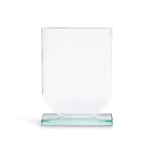 Shield Trophy (Medium)